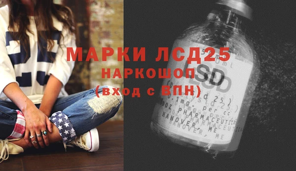 хмурый Горняк