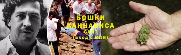 стаф Горнозаводск
